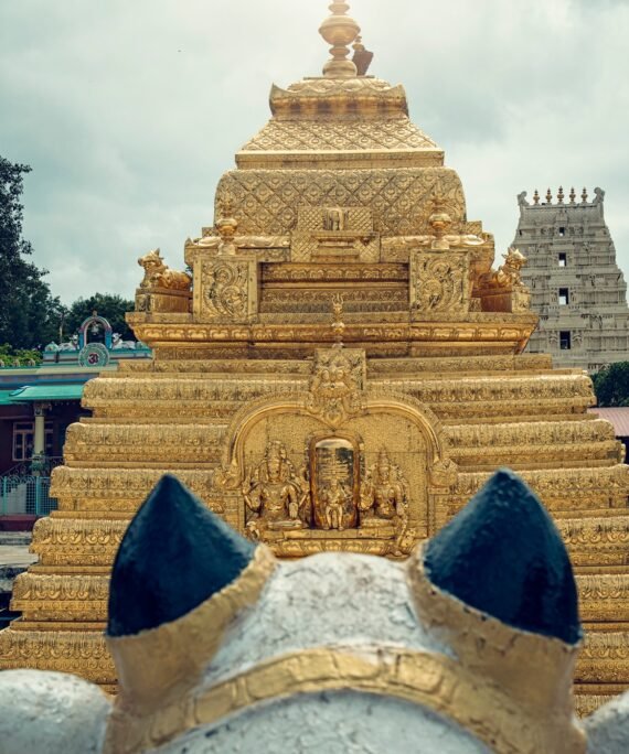 1 day hyderabad to srisailam taxi tour package